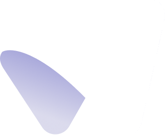 Walesb Custom Icon